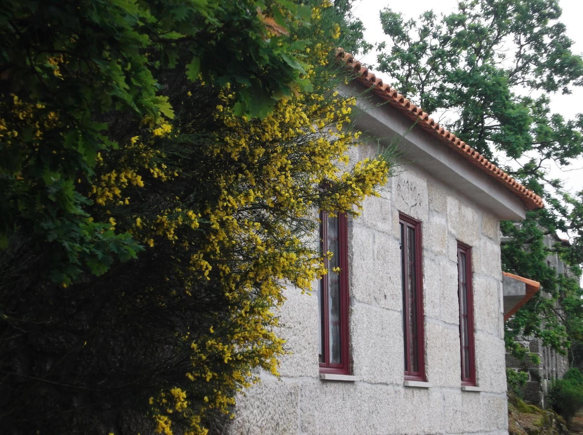 Casa Do Tear Villa Macieira de Alcoba Kültér fotó